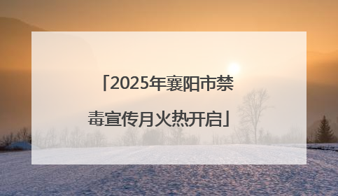 2025年襄阳市禁毒宣传月火热开启