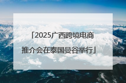 2025广西跨境电商推介会在泰国曼谷举行