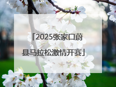 2025张家口蔚县马拉松激情开赛