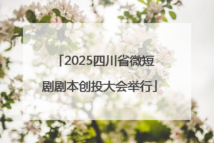 2025四川省微短剧剧本创投大会举行
