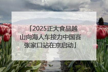 2025正大食品越山向海人车接力中国赛张家口站在京启动