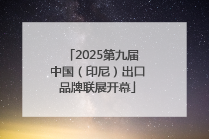 2025第九届中国（印尼）出口品牌联展开幕