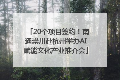 20个项目签约！南通崇川赴杭州举办AI赋能文化产业推介会