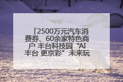 2500万元汽车消费券、60余家特色商户 丰台科技园“AI丰台 更京彩”未来玩家市集活动正式开幕
