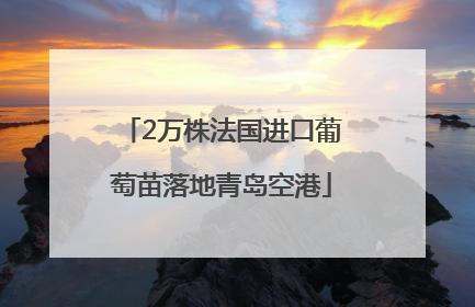 2万株法国进口葡萄苗落地青岛空港
