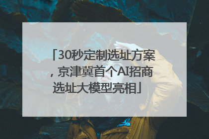 30秒定制选址方案，京津冀首个AI招商选址大模型亮相