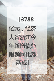 3788亿元，经济大省浙江今年新增债务限额同比涨两成
