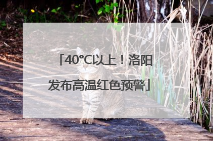 40°C以上！洛阳发布高温红色预警