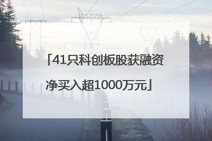 41只科创板股获融资净买入超1000万元