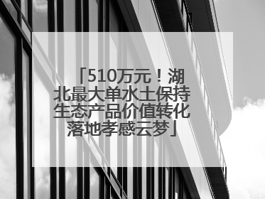 510万元！湖北最大单水土保持生态产品价值转化落地孝感云梦