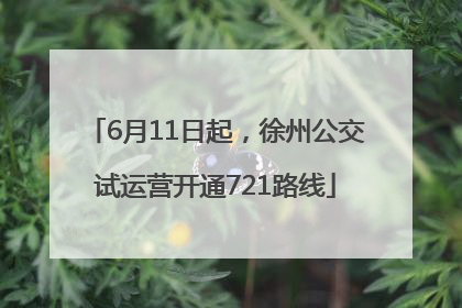 6月11日起，徐州公交试运营开通721路线