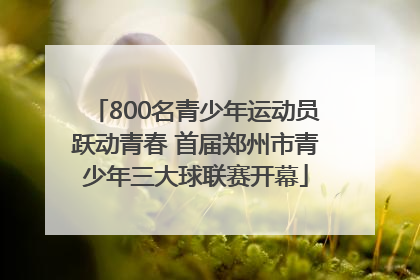 800名青少年运动员跃动青春 首届郑州市青少年三大球联赛开幕