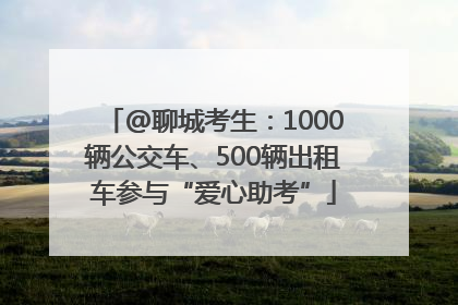 @聊城考生：1000辆公交车、500辆出租车参与“爱心助考”