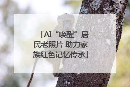 AI“唤醒”居民老照片 助力家族红色记忆传承