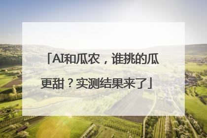 AI和瓜农，谁挑的瓜更甜？实测结果来了