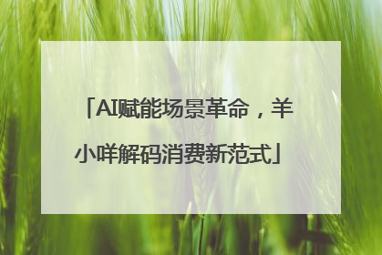AI赋能场景革命，羊小咩解码消费新范式