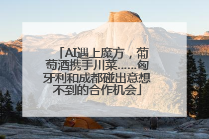 AI遇上魔方，葡萄酒携手川菜……匈牙利和成都碰出意想不到的合作机会